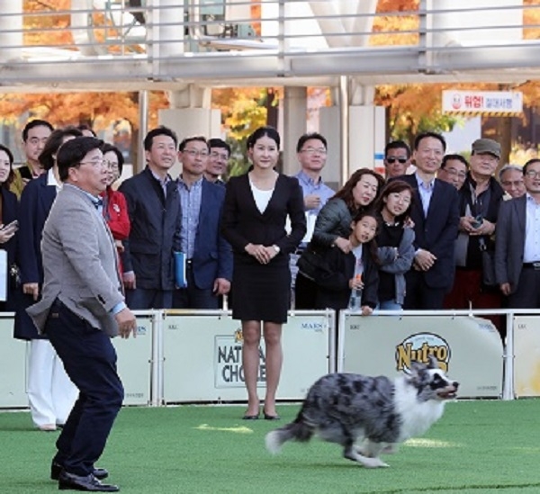 동물보호 축제 개막식에 참가한 권선택 대전시장