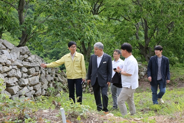 문정우 금산군수는 지난 20일 문화재 보존 정비사업 현장을 점검했다.