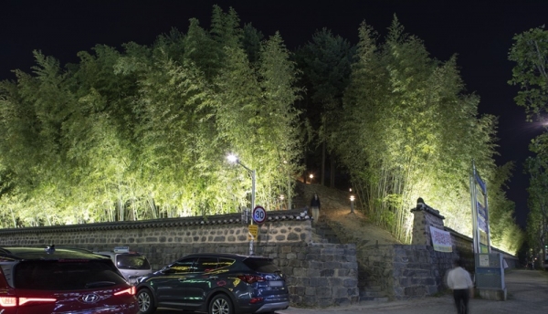 대전 둔산선사유적지 담장길이 야간경관조명으로 새단장했다.