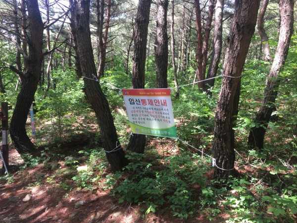 충남지역 3개 도립공원이 코로나19 확산 방지를 위해 17일부터 단체 탐방이 제한된다.