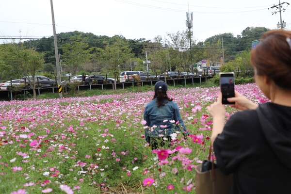 [사진=송옥희 사진작가]