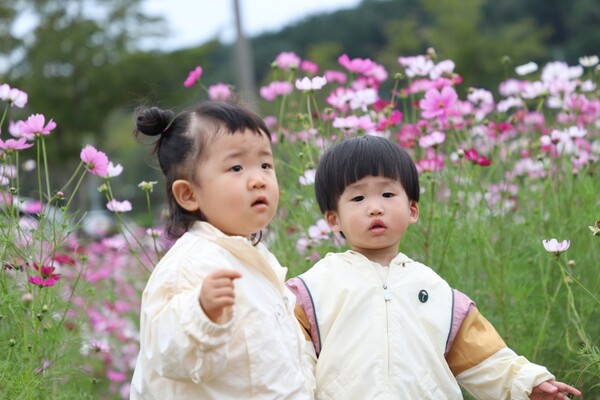 [사진=송옥희 사진작가]